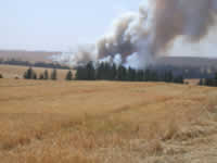 3:49pm Fire starts in Bergeron field SW across the canyon.